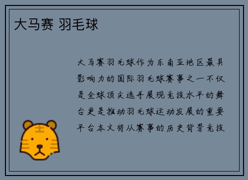 大马赛 羽毛球