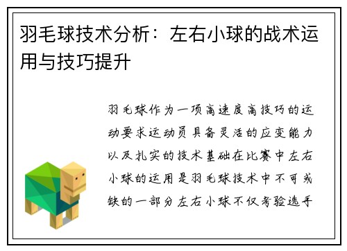 羽毛球技术分析：左右小球的战术运用与技巧提升