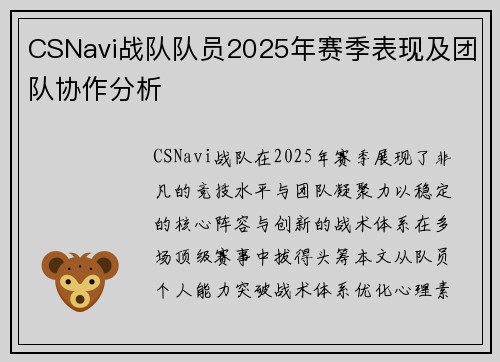 CSNavi战队队员2025年赛季表现及团队协作分析