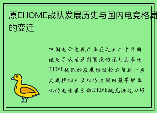 原EHOME战队发展历史与国内电竞格局的变迁